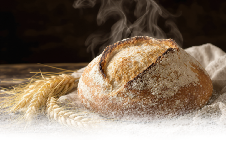 Sourdough Loaf